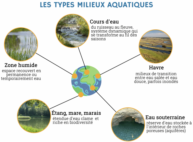 100 Timbres Collection Sur Thème Poisson Et Animaux Aquatiques - Pour Collectionneurs